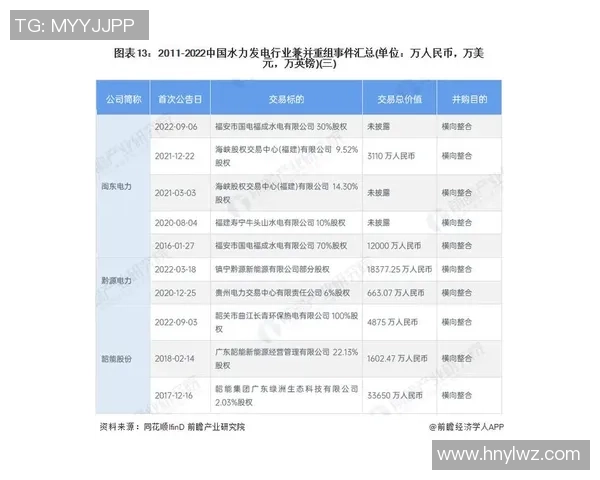 武汉排球队在大师赛中的速度表现分析与启示